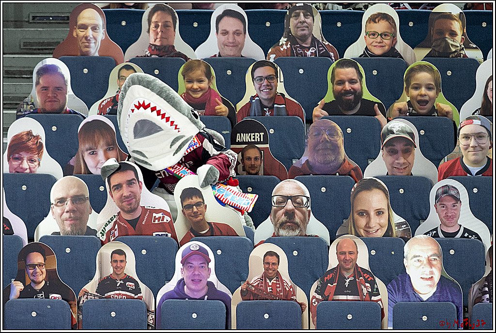 PENNY DEL;  Koelner Haie - Fischtown Pinguins Bremerhaven; Koeln, 12.02.2021